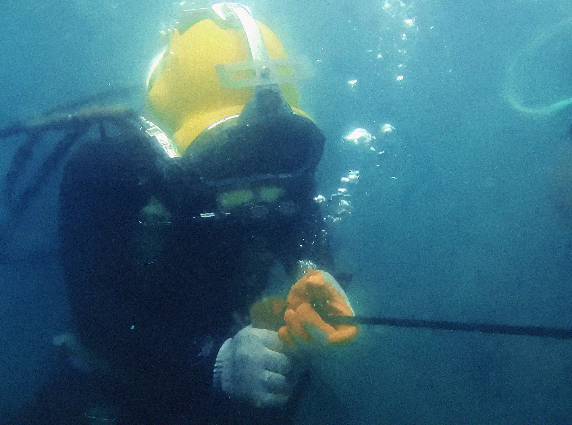 Survey & Damage Assessment